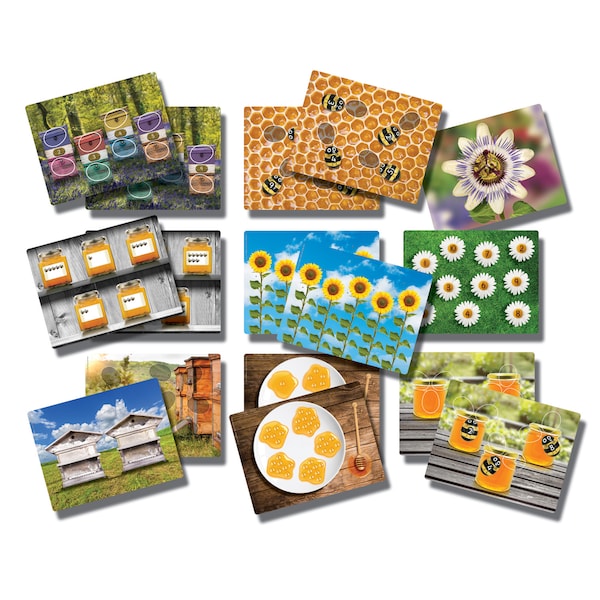 Yellow Door Honey Bee Early Number Cards, Set of 16 1095 - main